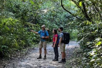 Discover the European Valley: 5-Day Guided Experience in Southern Brazil